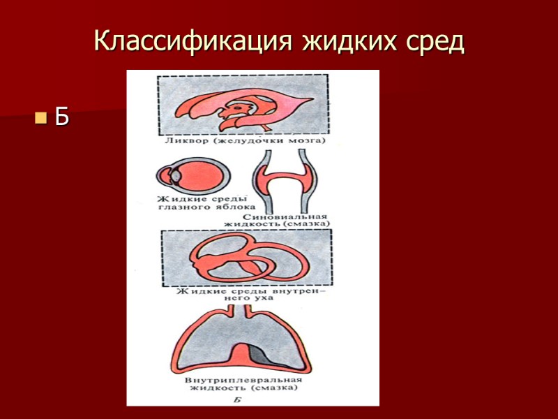 Классификация жидких сред Б